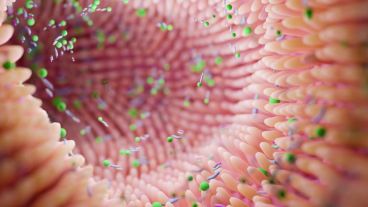 Para los expertos, la música puede "compensar la expresión génica alterada en los trastornos cognitivos relacionados con la edad, activando las vías de autofagia y organización sináptica”.