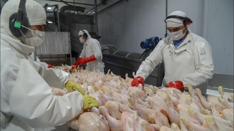 El gobierno eliminó también las retenciones para la carne aviar y bovina hasta el 31 de octubre.