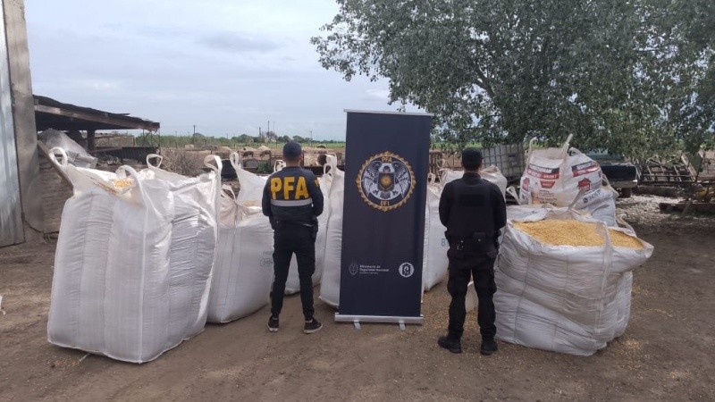 Parte de lo incautado por el personal de la fuerza federal en el puerto seco.