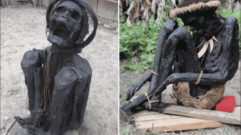 Los expertos descubrieron evidencias de exposición al calor.