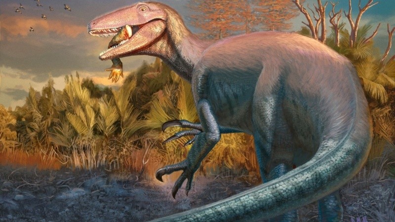 Reconstrucción en vida del nuevo dinosaurio carnívoro Joaquinraptor casali. Ilustración por Andrew McAfee, Carnegie Museum of Natural History.