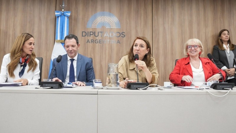 Fein encabeza junto a la bullrichista Silvana Giudici y la justicialista Victoria Tolosa Paz.