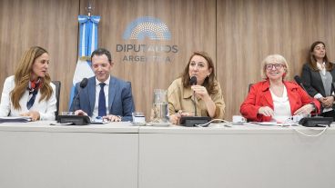 Fein encabeza junto a la bullrichista Silvana Giudici y la justicialista Victoria Tolosa Paz.