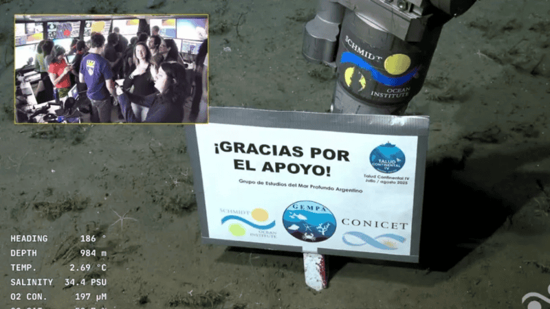 En pocos días el buque Falkor (too) del Schmidt Ocean Institute se adentrará en el sistema de cañones Bahía Blanca y en los cañones Almirante Brown.