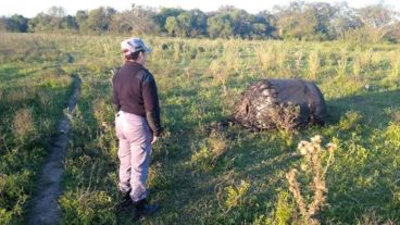 El elemento combuste hidracina altamente tóxica.
