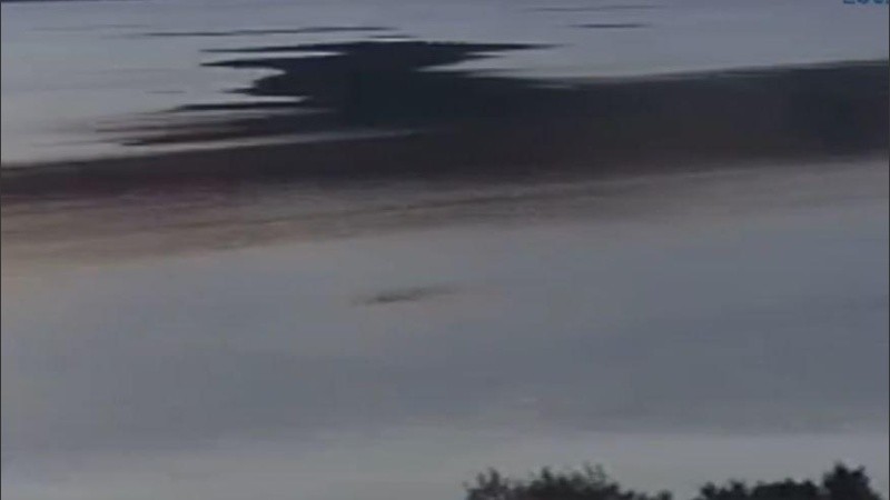 El avistamiento generó interés y debate en la comunidad científica.