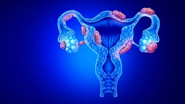 En el estudio, un 58% de pacientes con esta patología han conseguido quedarse embarazadas.