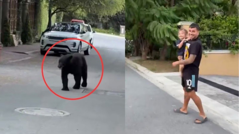 Correa se lo tomó con humor: es común ver osos en esa región de México.