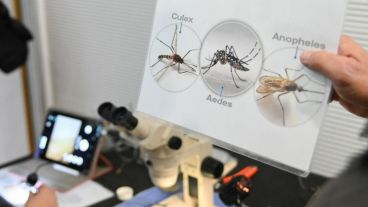 En total son 20 microscopios digitales que permiten identificar los huevos y cargar los resultados.
