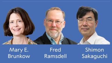 Las investigaciones de los científicos son complementarias.