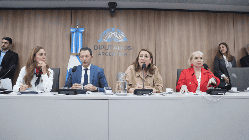 Fein junto al resto de las autoridades de la comisión.