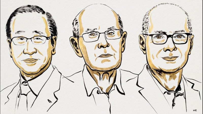 Cuando los científicos unieron sus trabajos, formaron un cristal espacioso y bien ordenado, como un diamante lleno de innumerables cavidades.