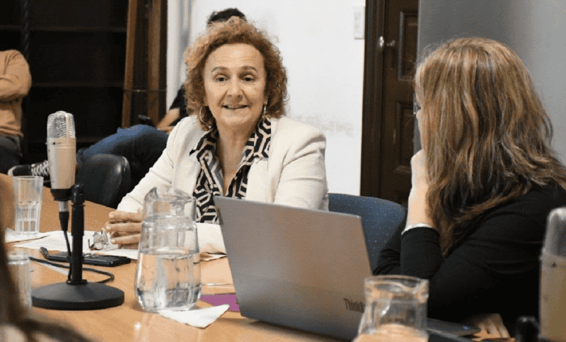 La concejala Alicia Pino llevó el proyecto de Taparelli a la comisión de Gobierno este miércoles, donde se debatirá las próximas semanas. (Concejo Rosario)