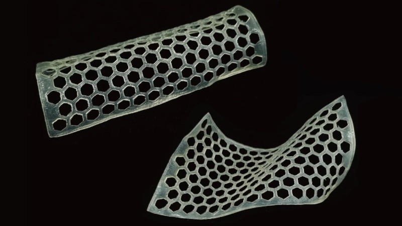 Hola al bambú, ¿adiós al plástico?