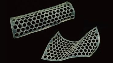 Hola al bambú, ¿adiós al plástico?