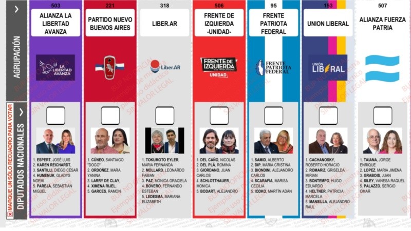 La boleta con la cara de Espert.