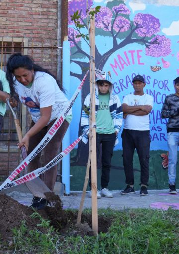 El lapacho de Maite: huerta y árboles como terapia tras una venganza narco en La Cerámica