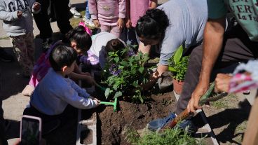 Los niños y niñas de la guardería plantaron flores y aromáticas.