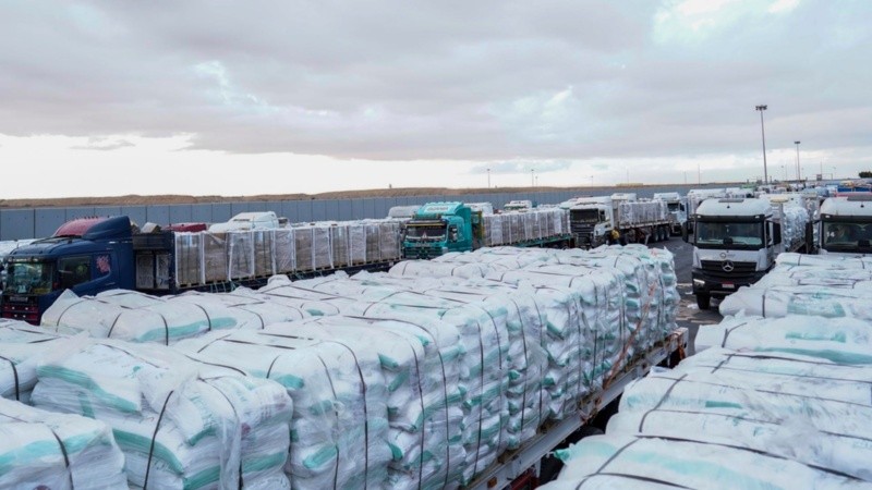 Camiones con ayuda humanitaria para repartir en Franja de Gaza.