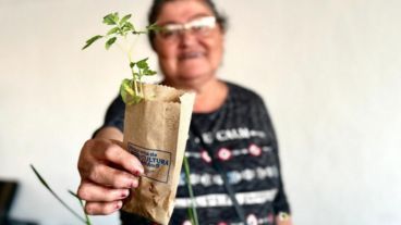 En Rosario existen 12 Parques Huerta y Huertas Comunitarias, donde más de 155 familias huerteras y 340 huerteros trabajan en la producción de alimentos.