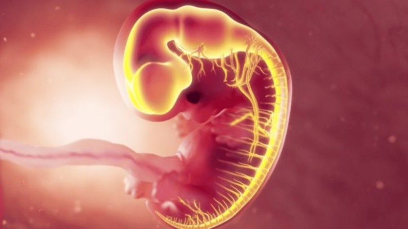 Este hallazgo cuenta con 