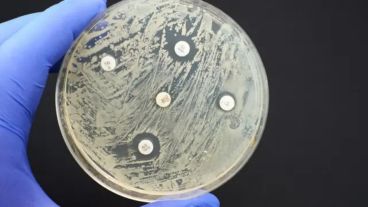 La resistencia gira en torno a 22 antibióticos usados para tratar infecciones urinarias y gastrointestinales, en el torrente sanguíneo y la gonorrea. 