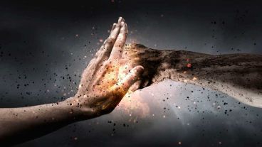 "Somos la única especie capaz de mostrar un comportamiento de crueldad, como puede ser la tortura o el comportamiento genocida", explicaron.