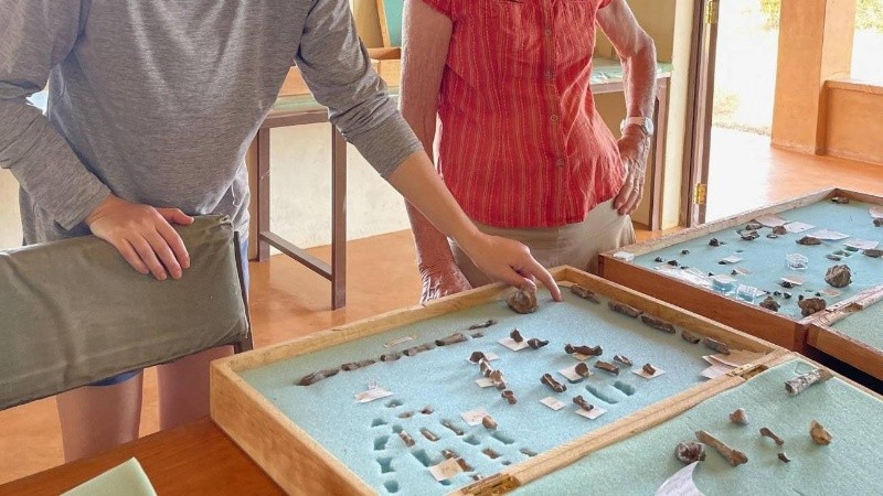 El paranthropus boisei es una especie que vivió en África hace entre 1 y 2 millones de años.