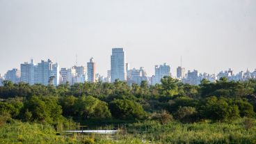 Se podrá conocer la composición del aire que respiramos.
