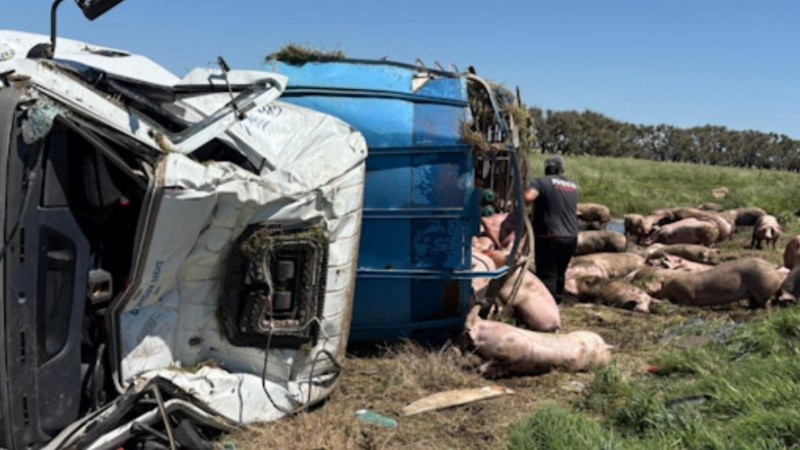 El camión volcó a la altura del kilómetro 179 de la Ruta Nacional 7, cerca de Ingeniero Silveyra, en el partido de Chacabuco, provincia de Buenos Aires.
