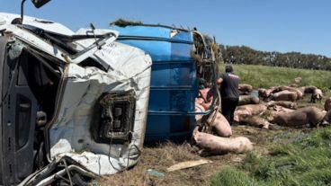 El camión volcó a la altura del kilómetro 179 de la Ruta Nacional 7, cerca de Ingeniero Silveyra, en el partido de Chacabuco, provincia de Buenos Aires.