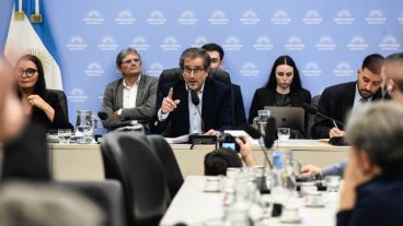 Benegas Lynch preside la comisión de Presupuesto en reemplazo de José Luis Espert.