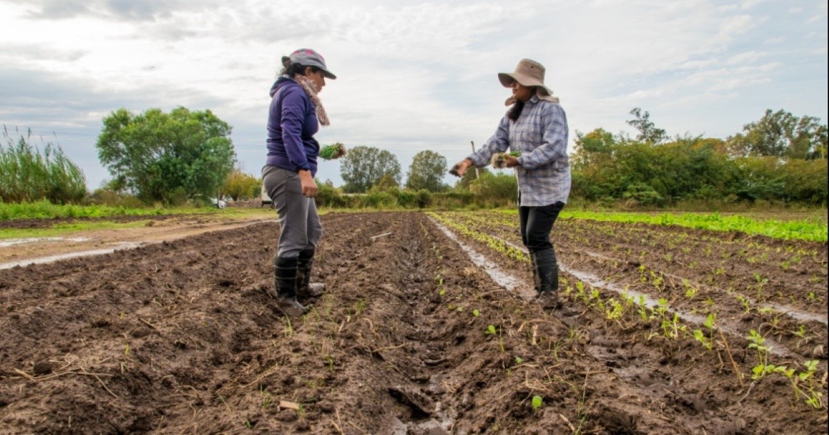 mujeres-que-trabajan-en-el-campo-luchar-por-una-ruralidad-con