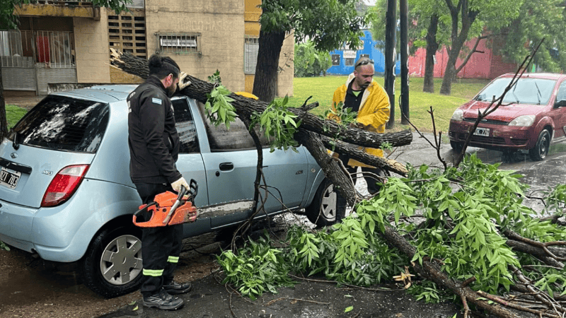 Algunas de las ramas caídas dañaron vehículos que estaban estacionados en la calle.