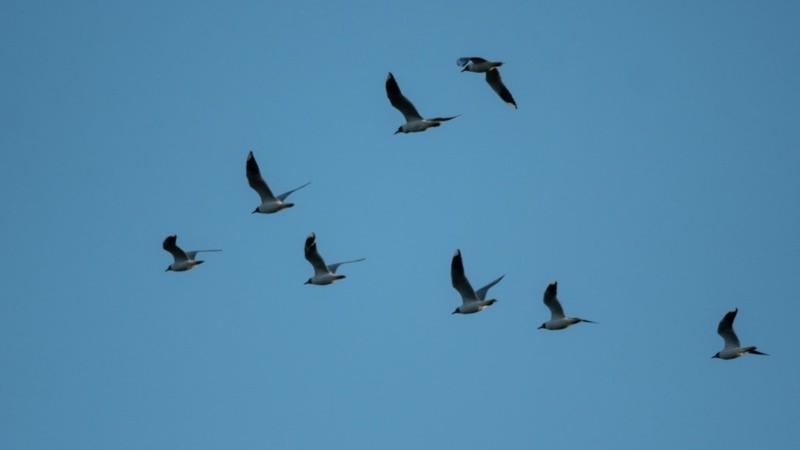 Cielo despejado en Rosario.