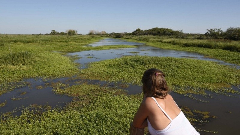 La reserva municipal de Los Tres Cerros en las islas podría sumar 800 hectáreas en el corto plazo.