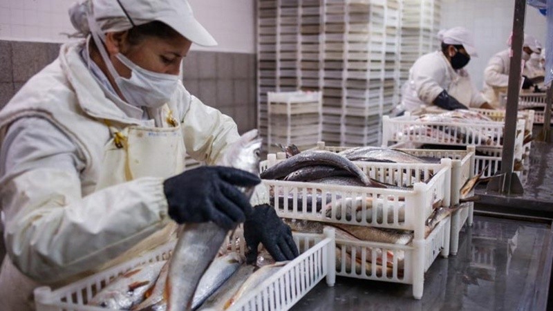 La limitación es solo para la exportación de pescados.