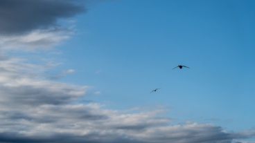 El viento predominantemente del sector sur dispersó las nubes a partir del mediodía.