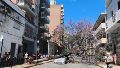 Cortan el tránsito durante el domingo por la caída del árbol sobre un auto en el centro: no habrá servicio de la línea K