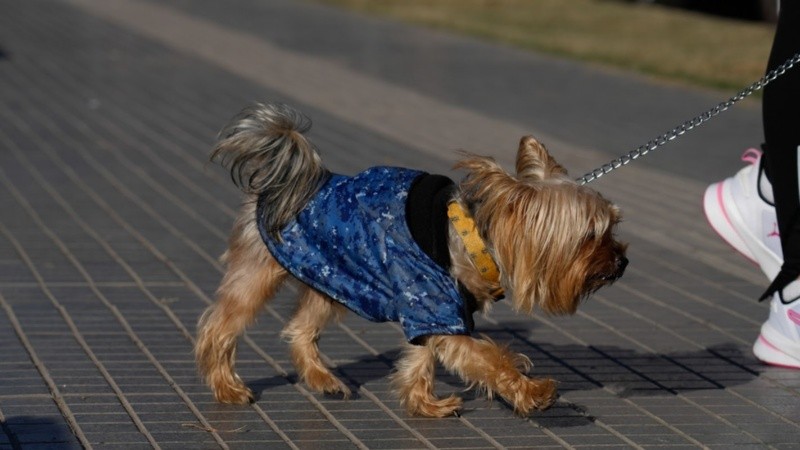 Linda jornada para salir a pasear temprano, pero con un abrigo.