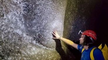 La densidad de las capas de la telaraña hace imposible contar cuántas nidadas de huevos hay.