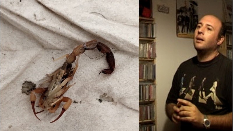 El Toto Borderi y el alacrán que lo picó en la pierna.