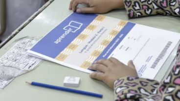 Este miércoles 12 de noviembre se realizan las Pruebas Aprender 2025 en todo el país.