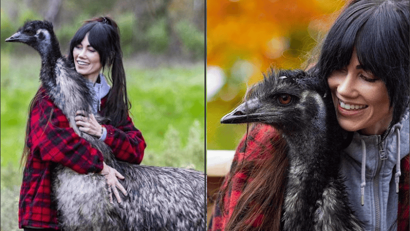 El huevo eclosionó y nació EJ, que significa Emu Jonathan, pero es hembra.