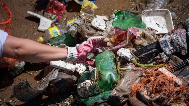 La cantidad de basura que detectan año a año en la campaña no mejoró.