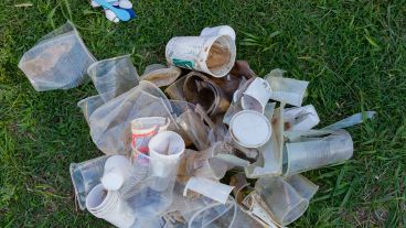 Los plásticos de un solo uso son un eje central del problema.