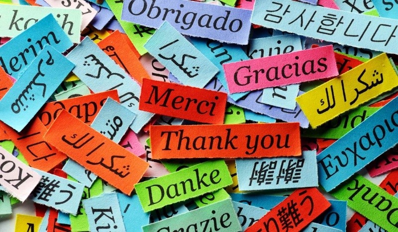 &nbsp;Los investigadores consideraron que el multilingüismo “constituye un determinante significativo de salud pública”.