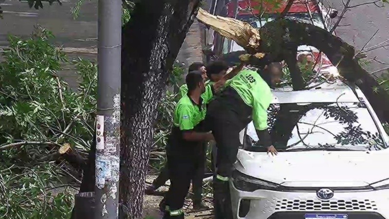 La rama de un árbol caída sobre un auto en Pellegrini y Buenos Aires.