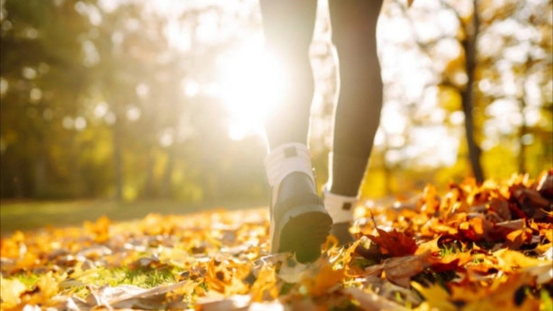 Un método que combina disciplina, ritmo y simplicidad para transformar un paseo diario en un ritual saludable.