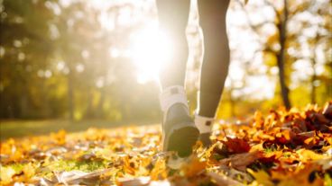Un método que combina disciplina, ritmo y simplicidad para transformar un paseo diario en un ritual saludable.